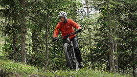 Mountainbiker im Wald