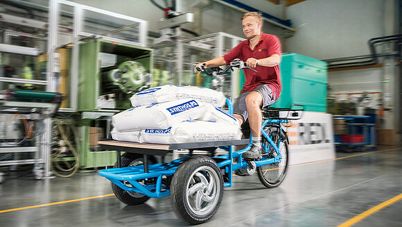 Lastenrad mit TQ Motor für Schwertransport