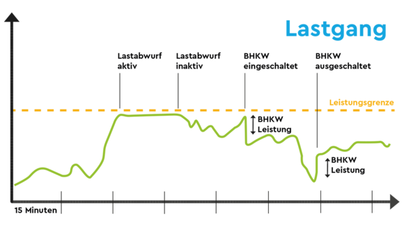 Lastgang und Verbraucherkontrolle