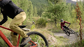 Mountainbiker auf Trail im Wald