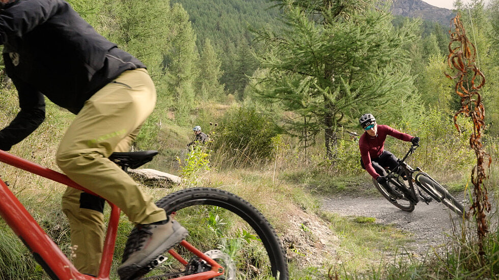 Mountainbiker auf Trail im Wald