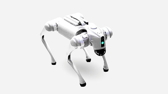 A quadruped with a faint shadow