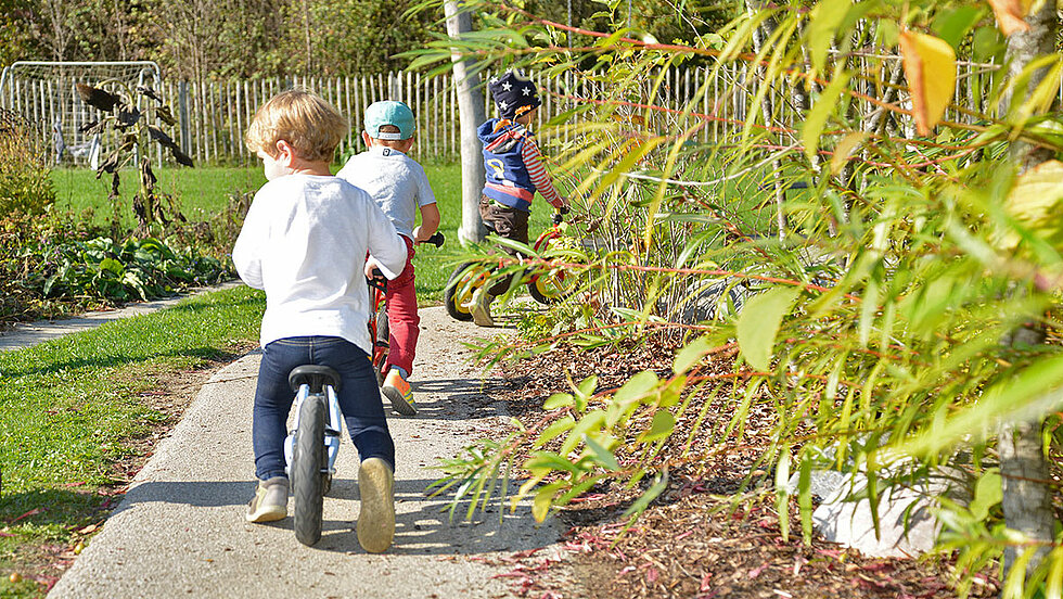 Garten TQ-Kinderhaus Hirschkäfer