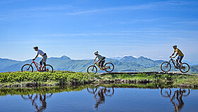 3 MTB hinter See